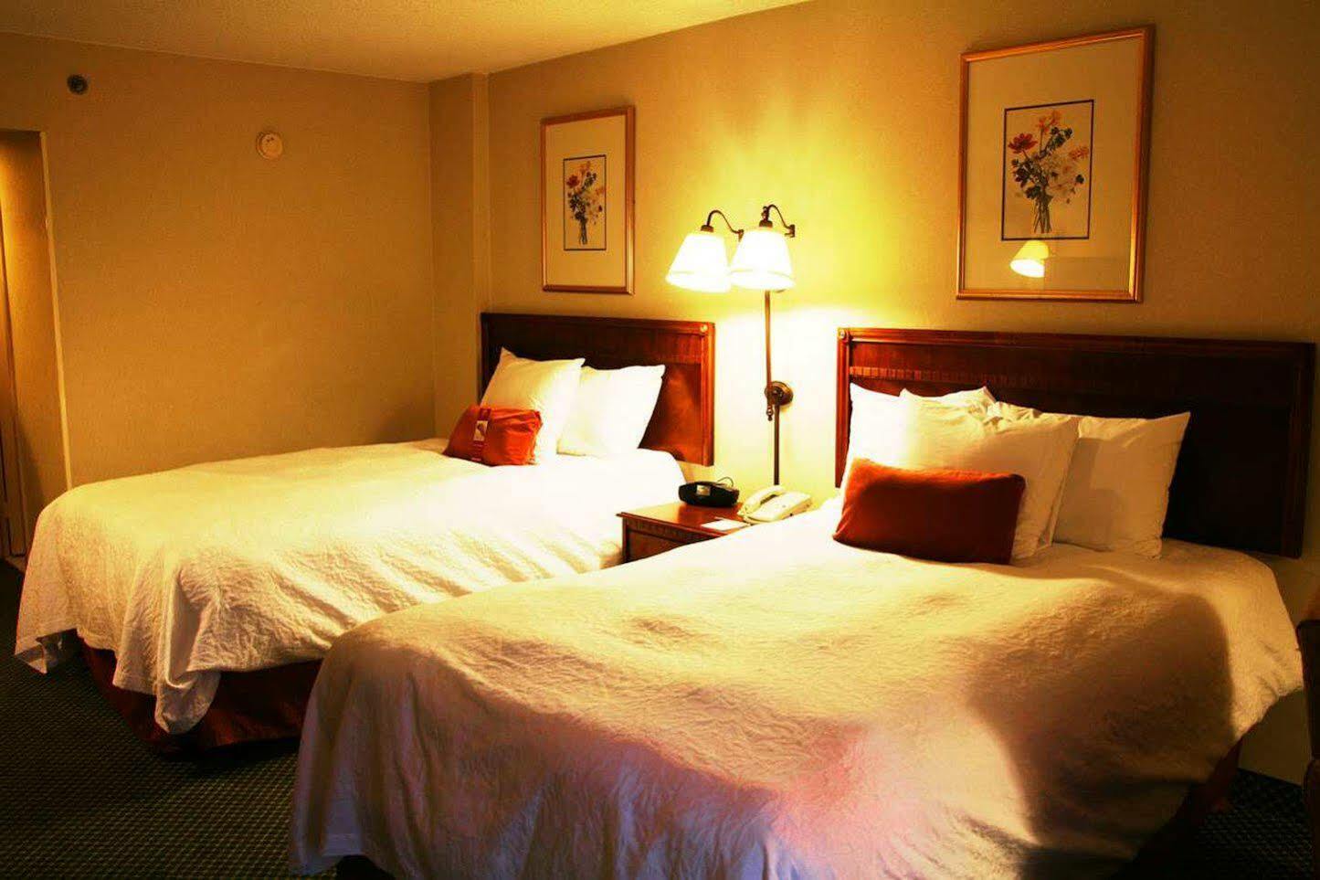 Hampton Inn Atlanta-North Druid Hills Δωμάτιο φωτογραφία